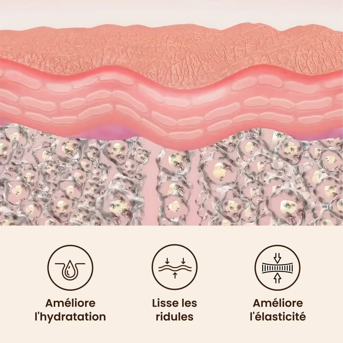 GloraMD image